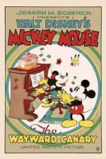 Watch The Wayward Canary Moviesjoy