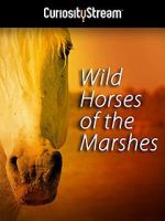 Watch Wild Horses of the Marshes Moviesjoy