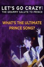 Watch Let\'s Go Crazy: The Grammy Salute to Prince Moviesjoy