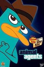 Watch Phineas And Ferb Animal Agents Moviesjoy