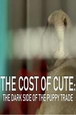 Watch The Cost of Cute: The Dark Side of the Puppy Trade Moviesjoy