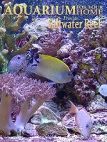 Watch Aquarium for Your Home: Saltwater Reef Moviesjoy
