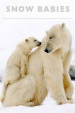 Watch Snow Babies Moviesjoy