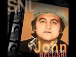 Watch Saturday Night Live: The Best of John Belushi Moviesjoy
