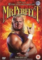 Watch The Life and Times of Mr. Perfect Moviesjoy