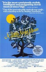 Watch A Little Night Music Moviesjoy
