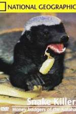 Watch National Geographic: Snake Killers Honey Badgers Of The Kalahari Moviesjoy