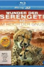 Watch The Wildebeest Migration Natures Greatest Journey Moviesjoy