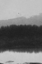 Watch Ch\'an Moviesjoy