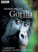 Watch Gorilla Revisited with David Attenborough Moviesjoy