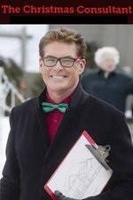 Watch The Christmas Consultant Moviesjoy