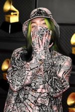 Watch The 63rd Annual Grammy Awards Moviesjoy