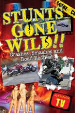 Watch Stunts Gone Wild: Crashes, Smashes & Road Rashes! Moviesjoy