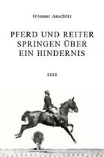 Watch Pferd und Reiter Springen über ein Hindernis Moviesjoy