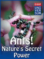 Watch Ants: Nature\'s Secret Power Moviesjoy