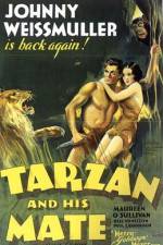 Watch Tarzan and His Mate Moviesjoy