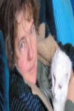 Watch Ciao Meow Moviesjoy