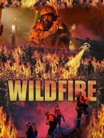 Watch Wild Fire Moviesjoy