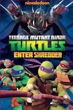 Watch Teenage Mutant Ninja Turtles: Enter Shredder Moviesjoy