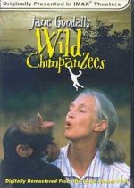 Watch Jane Goodall\'s Wild Chimpanzees Moviesjoy