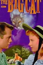 Watch The Big Cat Moviesjoy