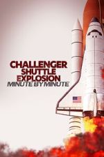 Watch Challenger Shuttle Disaster: Minute by Minute Moviesjoy
