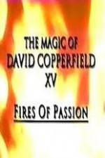 Watch The Magic of David Copperfield XV Fires of Passion Moviesjoy