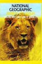Watch National Geographic: Walking with Lions Moviesjoy