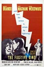 Watch The Fugitive Kind Moviesjoy