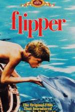 Watch Flipper Moviesjoy