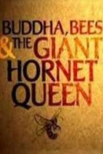 Watch Natural World Buddha Bees and the Giant Hornet Queen Moviesjoy