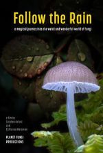 Watch Follow the Rain Moviesjoy