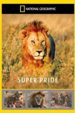 Watch National Geographic: Super Pride  Africa's Largest Lion Pride Moviesjoy