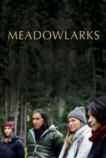 Watch Meadowlarks Moviesjoy
