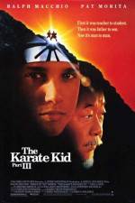 Watch The Karate Kid, Part III Moviesjoy