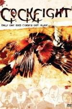 Watch The Round and Round Moviesjoy