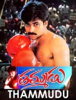 Watch Thammudu Moviesjoy