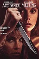 Watch Accidental Meeting Moviesjoy