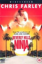 Watch Beverly Hills Ninja Moviesjoy