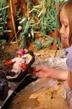 Watch I Wish I Went to Ecuador Moviesjoy