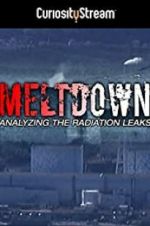 Watch Meltdown: Analyzing the Radiation Leaks Moviesjoy