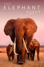 Watch The Elephant Queen Moviesjoy