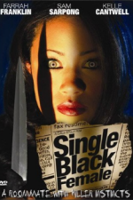 Watch Single Black Female Moviesjoy