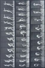 Watch Woman Throwing Baseball Moviesjoy