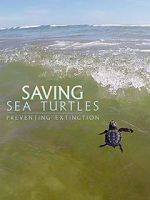 Watch Saving Sea Turtles: Preventing Extinction Moviesjoy
