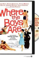 Watch Dazu gehören zwei Moviesjoy