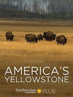 Watch America\'s Yellowstone Moviesjoy