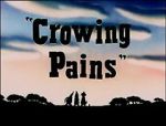 Watch Crowing Pains (Short 1947) Moviesjoy