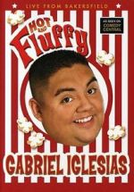 Watch Gabriel Iglesias: Hot and Fluffy Moviesjoy