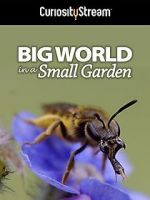 Watch Big World in a Small Garden (TV Short 2016) Moviesjoy